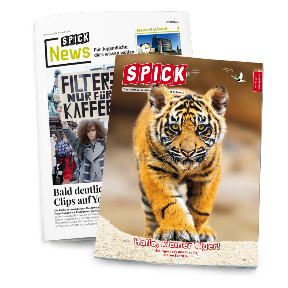 Image of SPICK & SPICK News Kombi